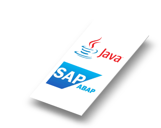 Java SAP